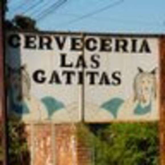 Meet your Posher, Catherine - Picture 1 of 1